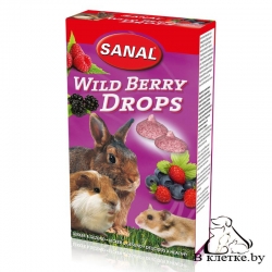 Лакомство грызунам с лесными ягодами Sanal Wild Berry Drops