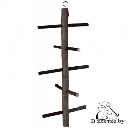 Лесенка для корелл из натуральной древесины Trixie 5802