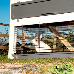 Пластиковая клетка для кроликов Ferplast GRAND LODGE 120 PLUS