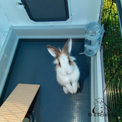 Пластиковая клетка для кроликов Ferplast GRAND LODGE 120 PLUS