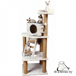 Когтеточка-домик для кошки Trixie Marlena 44810