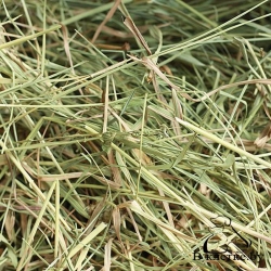 Сено отборное 500г