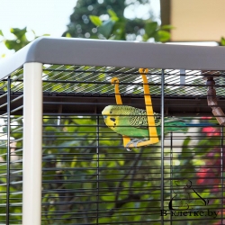 Клетка для канареек и экзотических птиц Ferplast PIANO 6