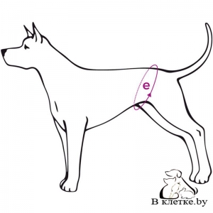 Гигиенические трусы №5 Ami Play Labrador