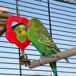 Клетка для канареек и экзотических птиц Ferplast PIANO 6