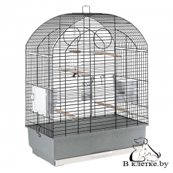 Клетка для волнистых и попугаев корелла Ferplast VIOLA