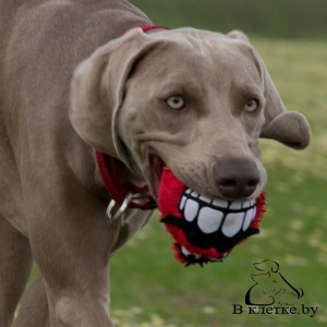 Игрушка мягкая с пищалкой «Зубы» Rogz Grinz Fluffy Small