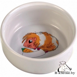 Миска с рисунком для морских свинок Trixie 250 мл