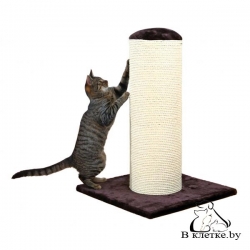 Когтеточка-столбик Trixie Luca