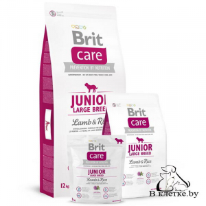 Сухой корм Brit Care Junior Large Breed Lamb & Rice