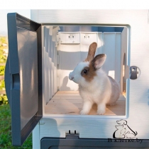 Пластиковая клетка для кроликов Ferplast GRAND LODGE 120 PLUS