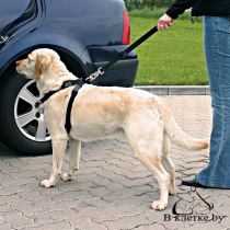 Ремень безопасности (шлея+поводок) для собак Trixie M