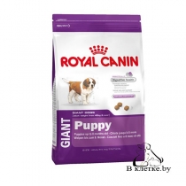 Сухой корм Royal Canin Giant Puppy