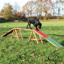 Бум для аджилити Trixie