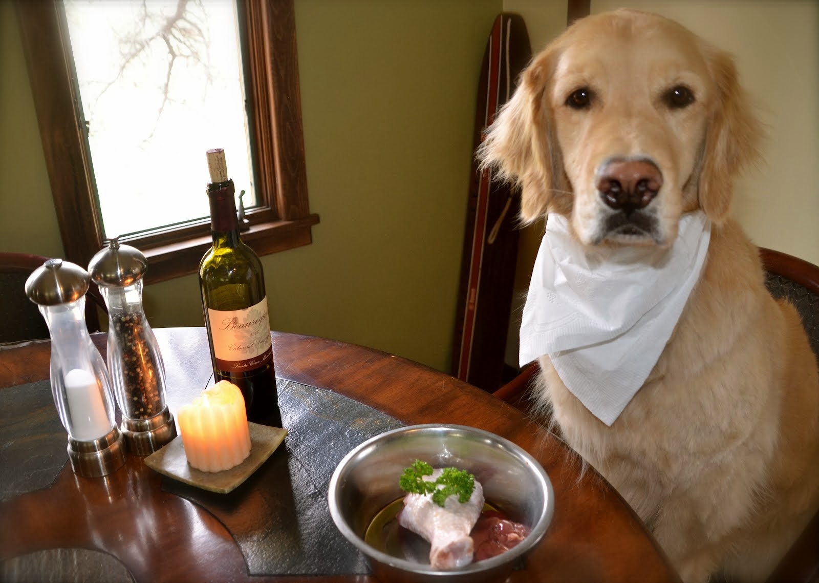 премиум корм для собак